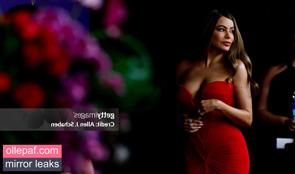 Latest Leaks Sofia Vergara Nude #464 - Fapello