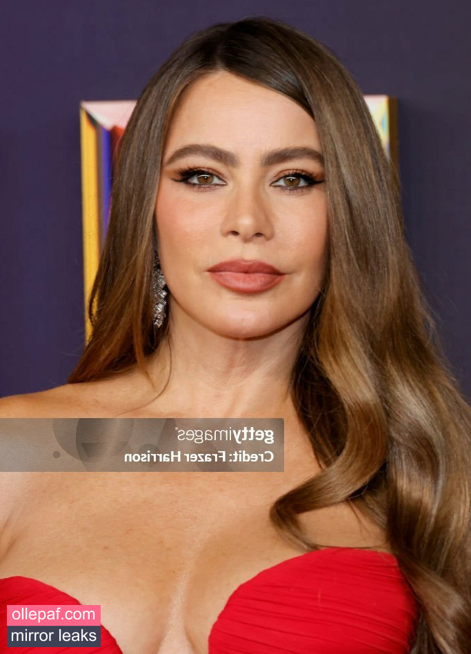 Latest Leaks Sofia Vergara Nude #499 - Fapello