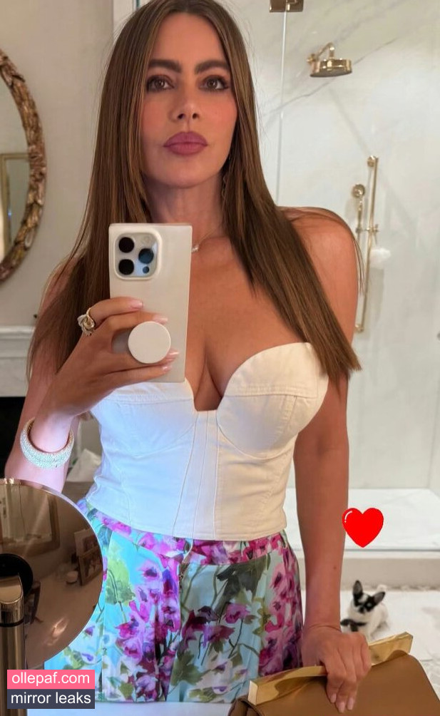 Latest Leaks Sofia Vergara Nude #644 - Fapello
