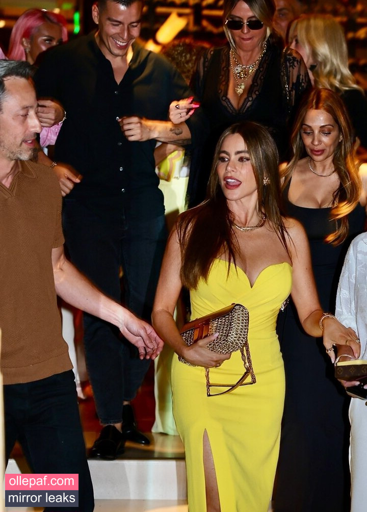 Latest Leaks Sofia Vergara Nude #727 - Fapello