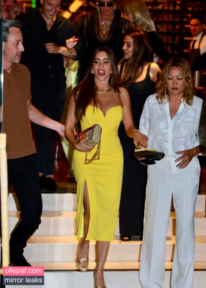 Latest Leaks Sofia Vergara Nude #729 - Fapello