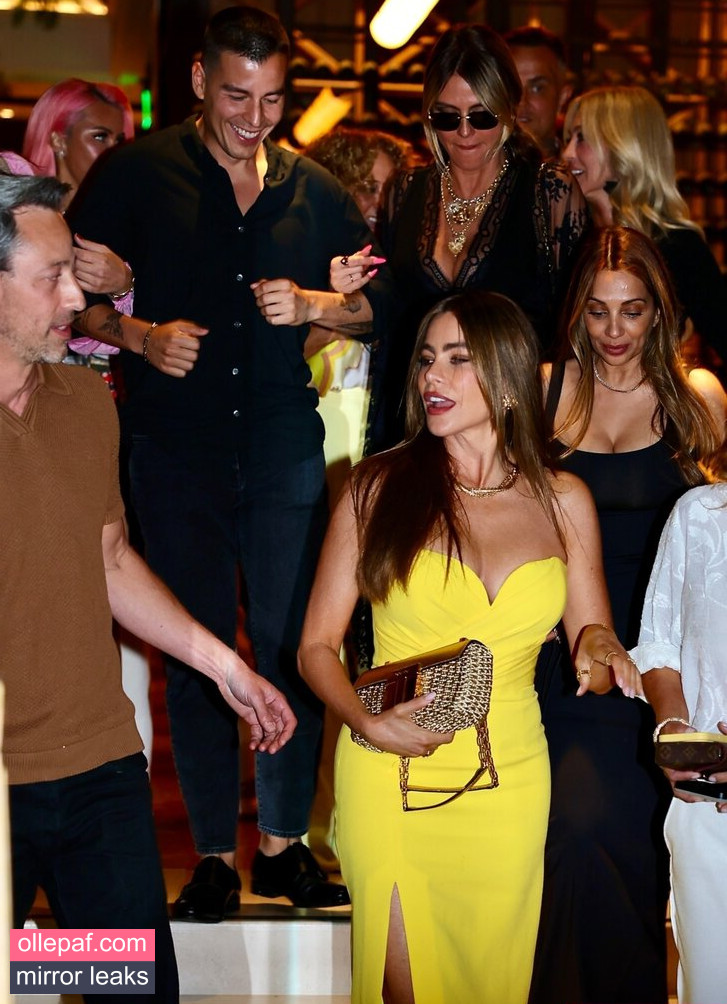 Latest Leaks Sofia Vergara Nude #731 - Fapello