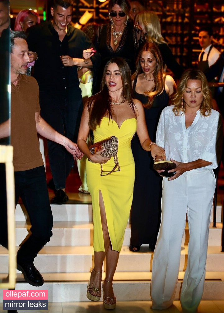 Latest Leaks Sofia Vergara Nude #732 - Fapello