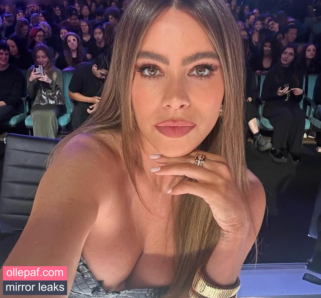 Latest Leaks Sofia Vergara Nude #733 - Fapello