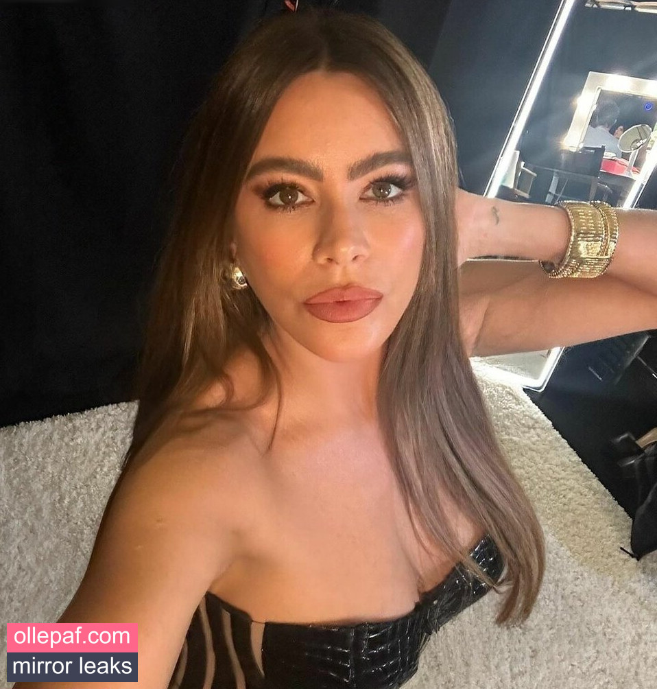 Latest Leaks Sofia Vergara Nude #734 - Fapello