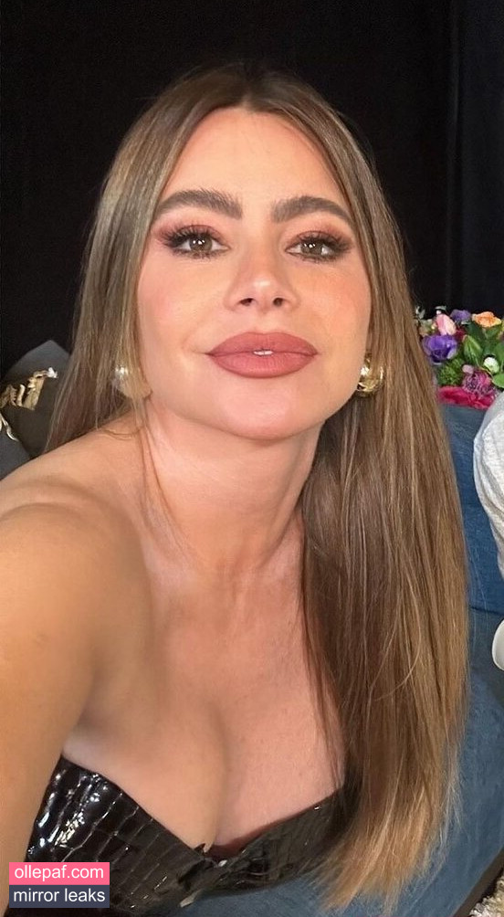 Latest Leaks Sofia Vergara Nude #735 - Fapello