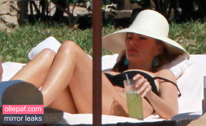 Latest Leaks Sofia Vergara Nude #783 - Fapello