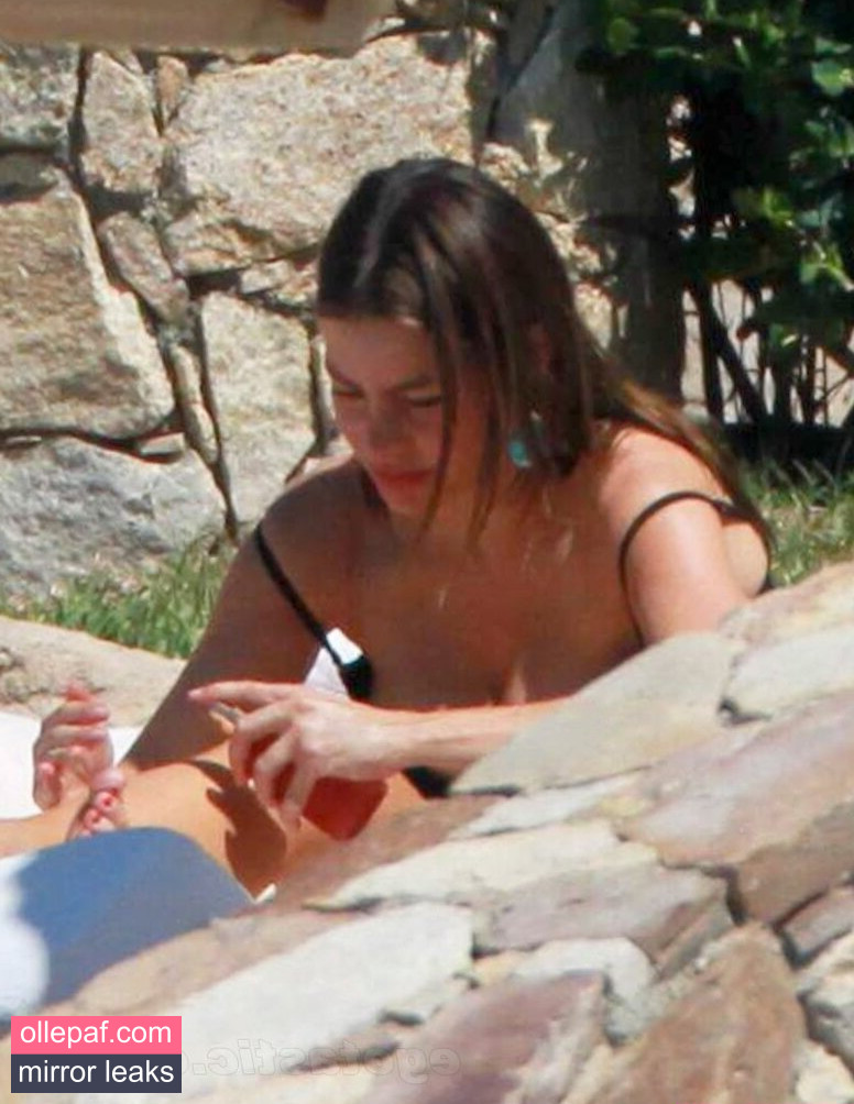Latest Leaks Sofia Vergara Nude #784 - Fapello