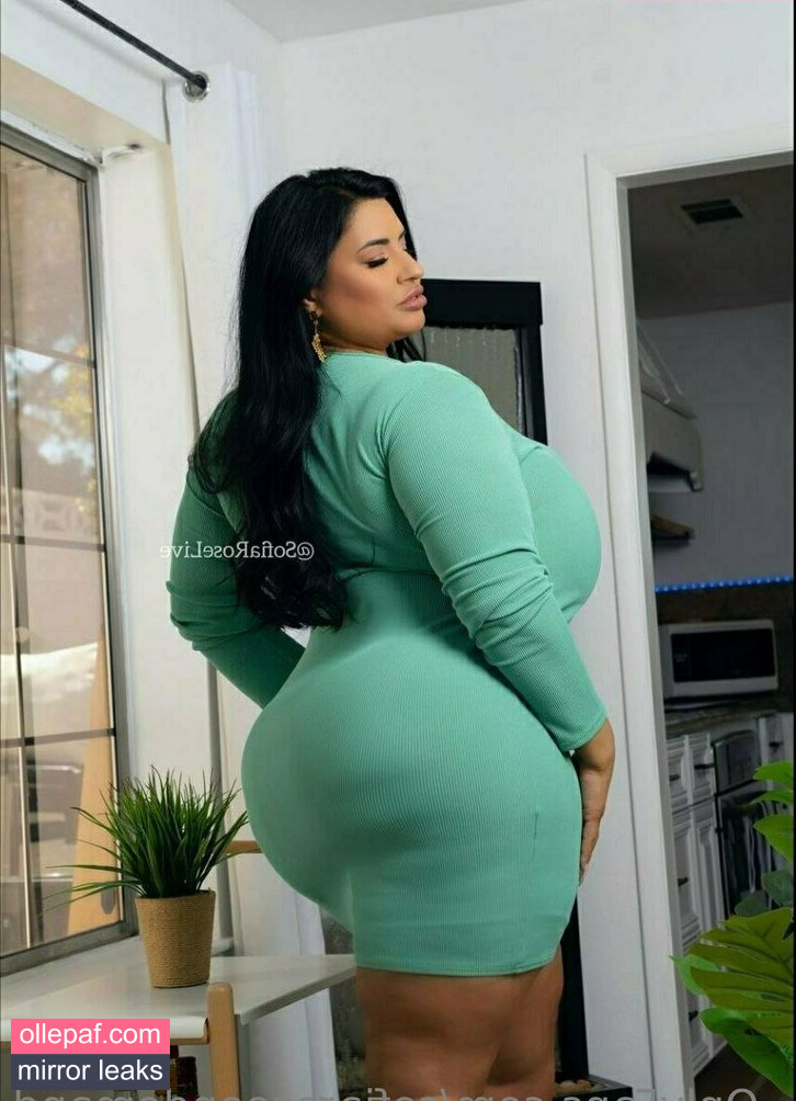 Latest Leaks sofiaroseondemand Nude #251 - Fapello