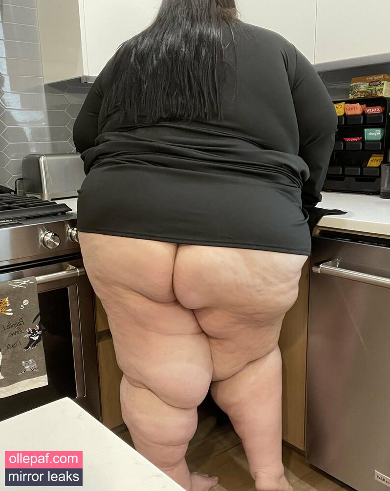 Latest Leaks ssbbwsasha Nude #202 - Fapello