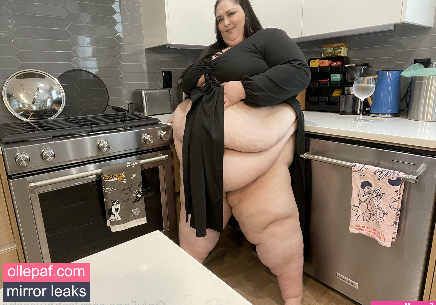Latest Leaks ssbbwsasha Nude #203 - Fapello