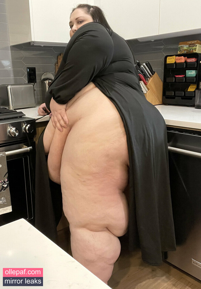 Latest Leaks ssbbwsasha Nude #204 - Fapello