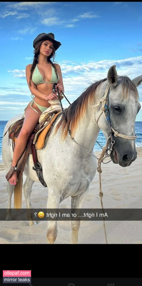 Latest Leaks SSSniperwolf Nude #2 - Fapello