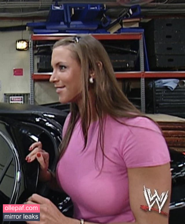 Latest Leaks Stephanie McMahon Nude #216 - Fapello