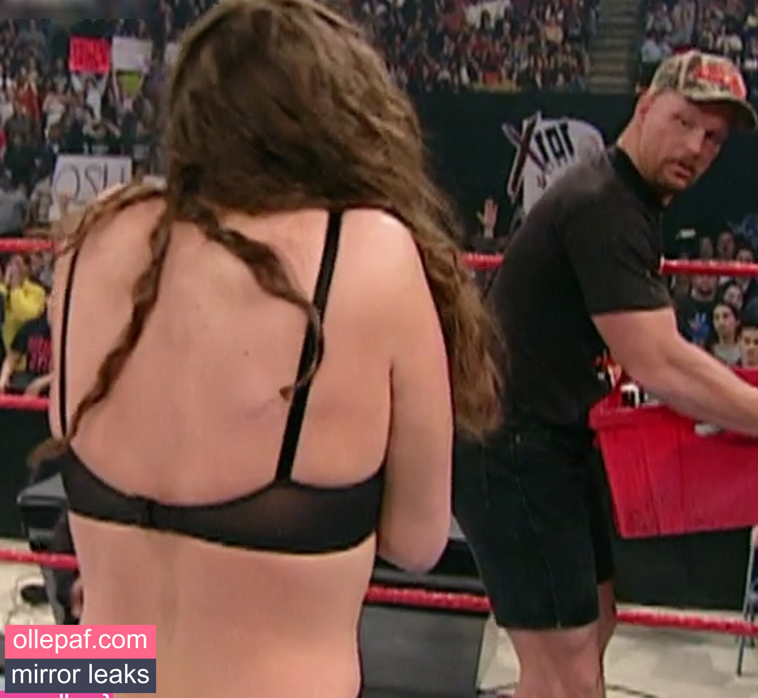 Latest Leaks Stephanie McMahon Nude #332 - Fapello