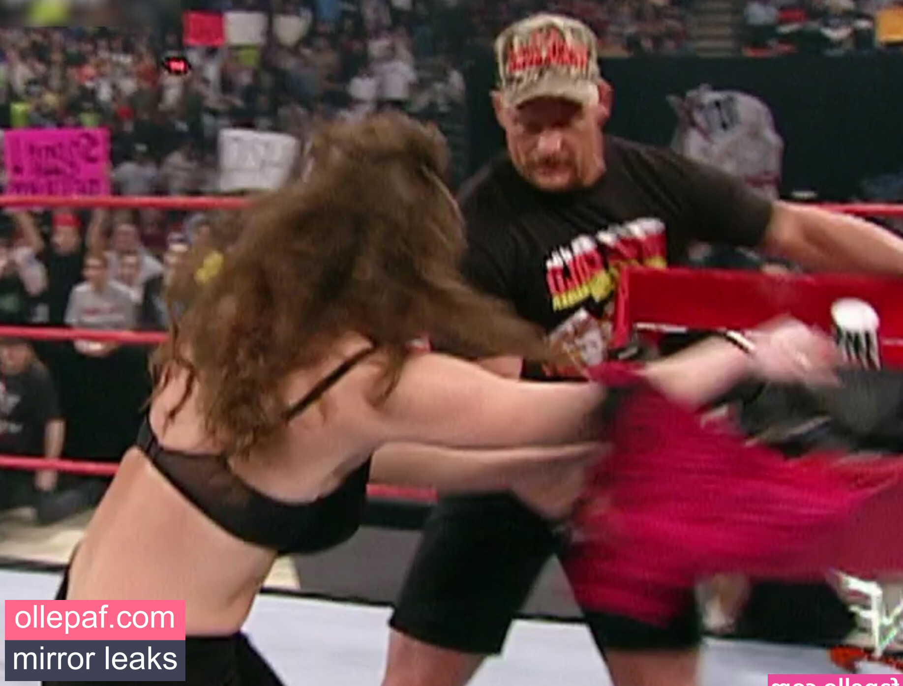 Latest Leaks Stephanie McMahon Nude #338 - Fapello
