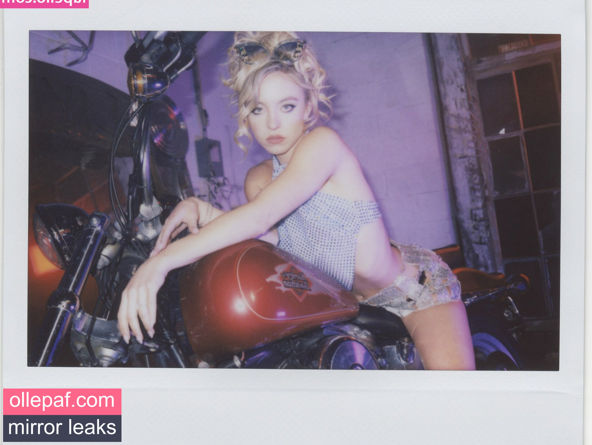 Latest Leaks Sydney Sweeney Nude #22 - Fapello