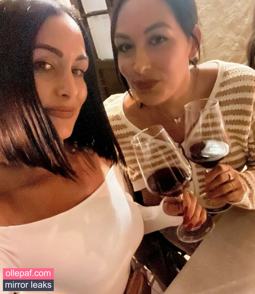 The Bella Twins: Nude Leaks OnlyFans #107 - Fapello