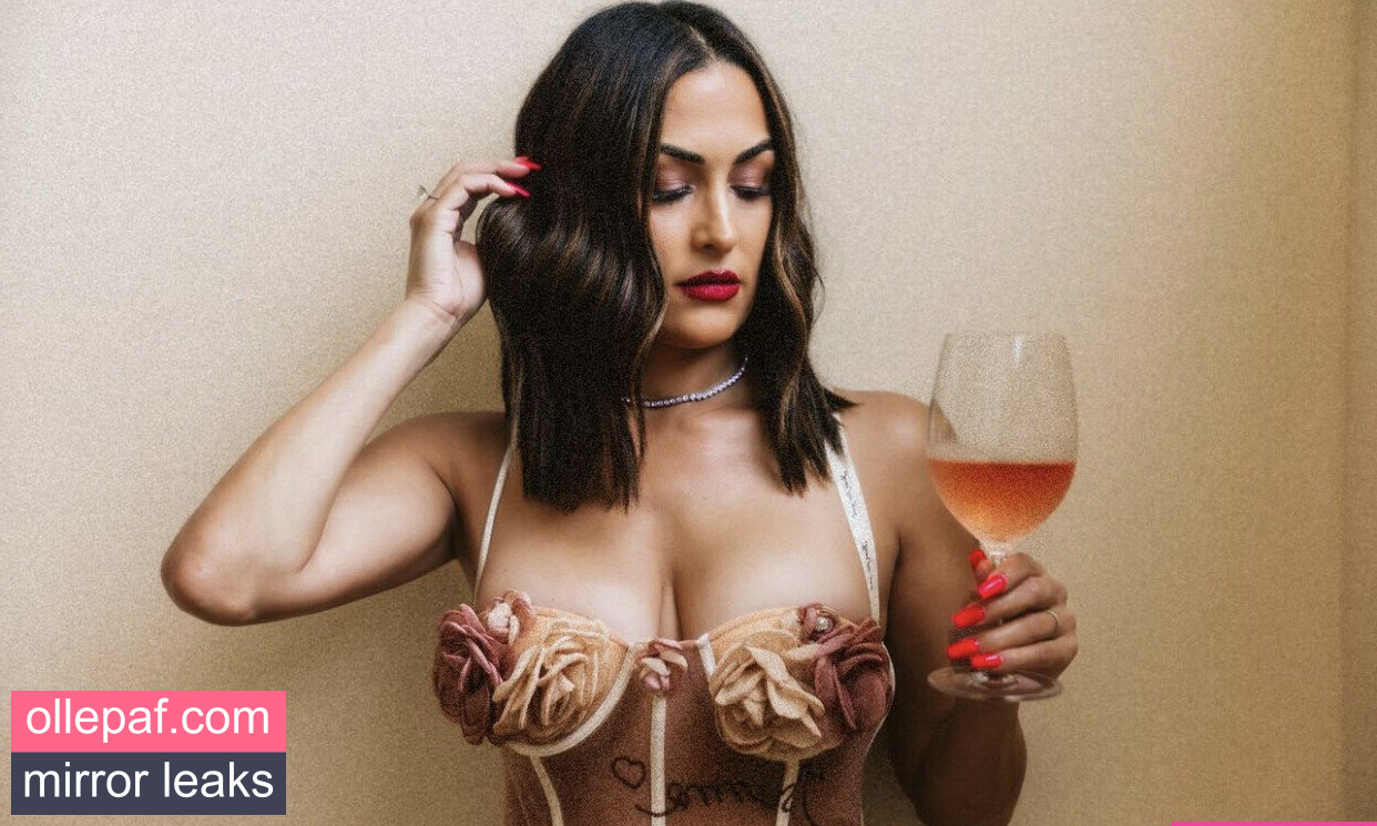 Latest Leaks The Bella Twins: Nude #183 - Fapello