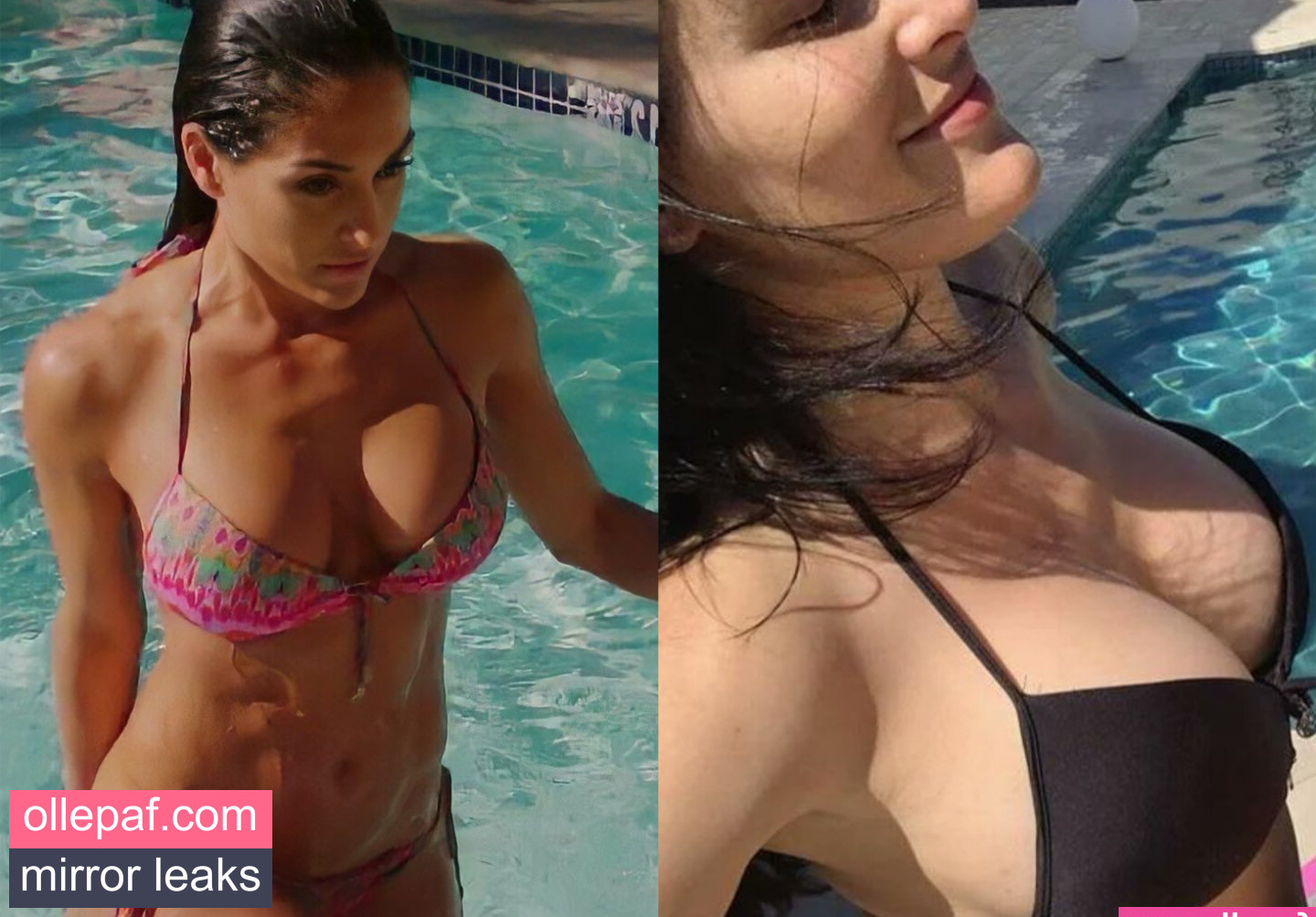 The Bella Twins: Nude Leaks OnlyFans #390 - Fapello