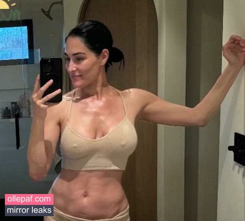 The Bella Twins: Nude Leaks OnlyFans #45 - Fapello