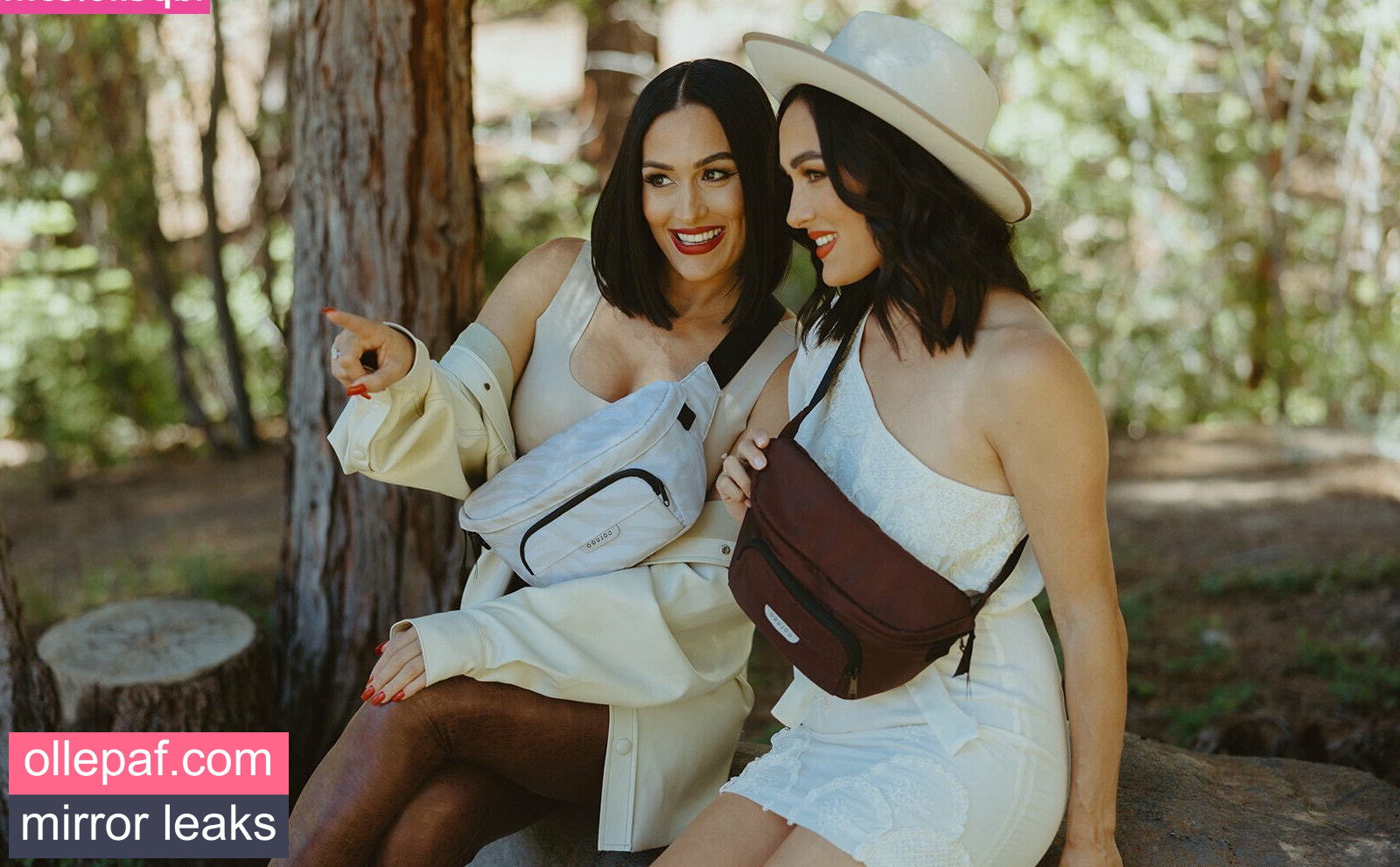 The Bella Twins: Nude Leaks OnlyFans #447 - Fapello