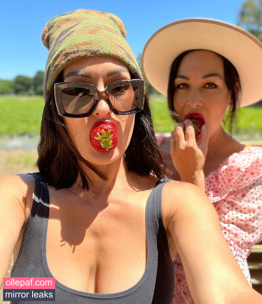 The Bella Twins: Nude Leaks OnlyFans #485 - Fapello