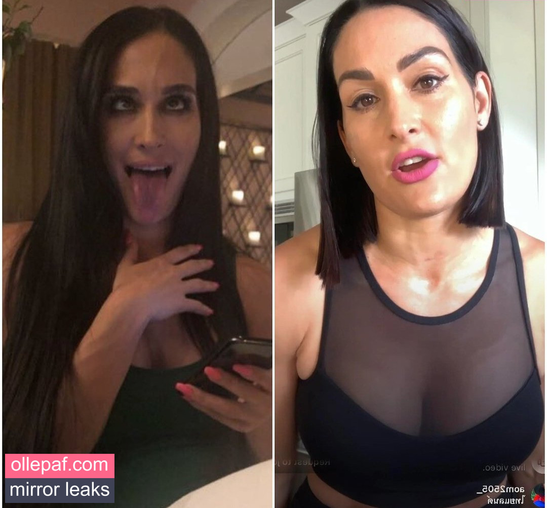 The Bella Twins: Nude Leaks OnlyFans #504 - Fapello