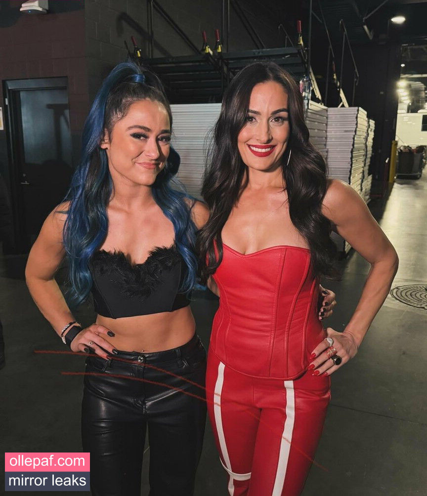 The Bella Twins: Nude Leaks OnlyFans #7 - Fapello