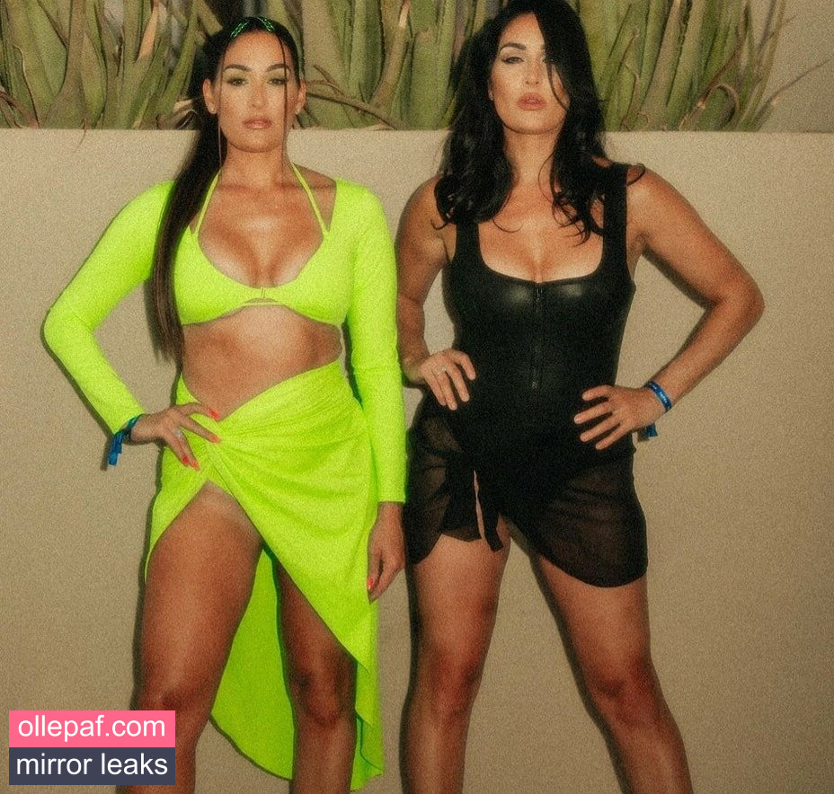 The Bella Twins: Nude Leaks OnlyFans #62 - Fapello