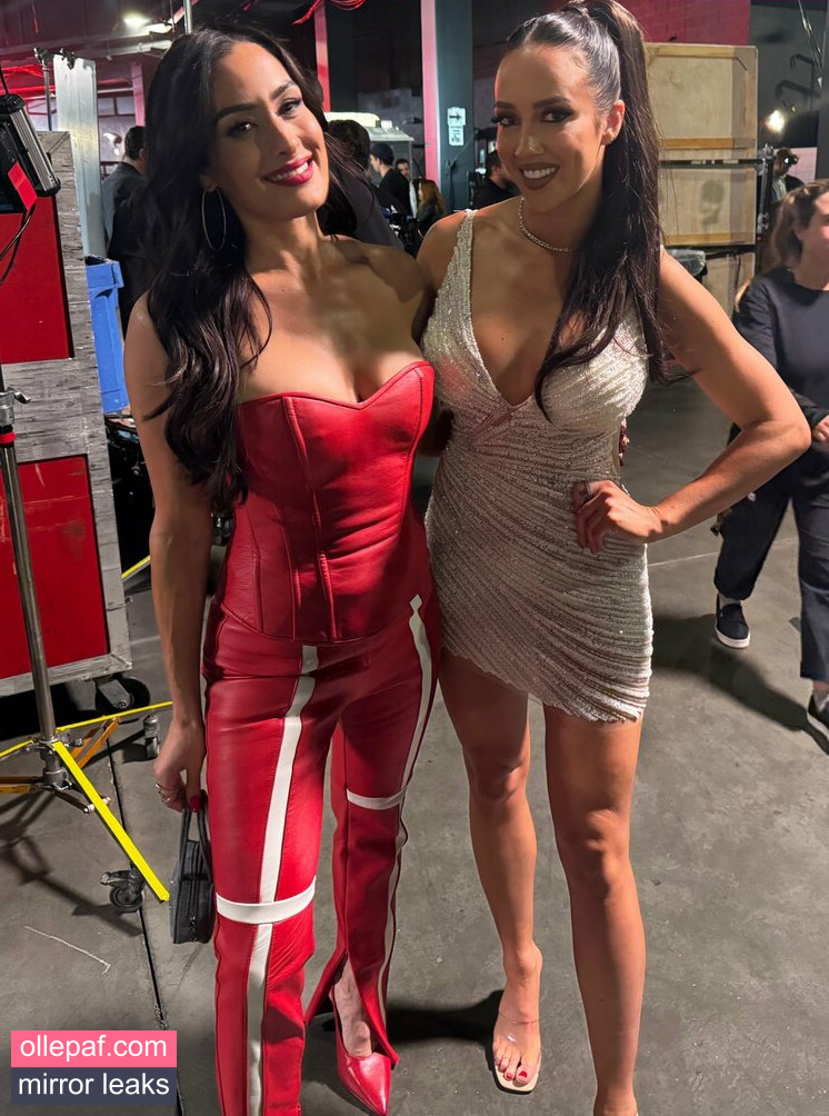 The Bella Twins: Nude Leaks OnlyFans #9 - Fapello