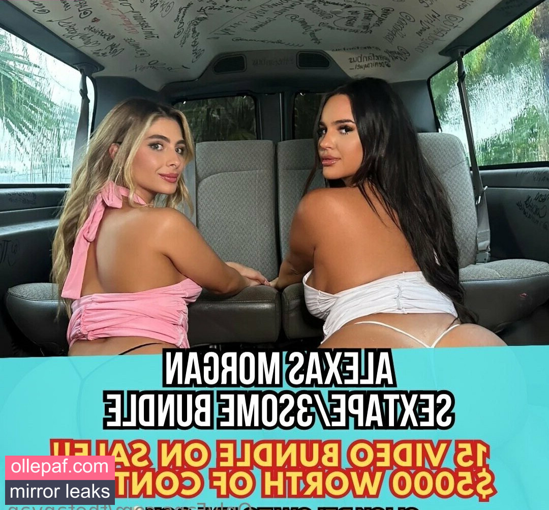 Latest Leaks thefanvan Nude #12 - Fapello