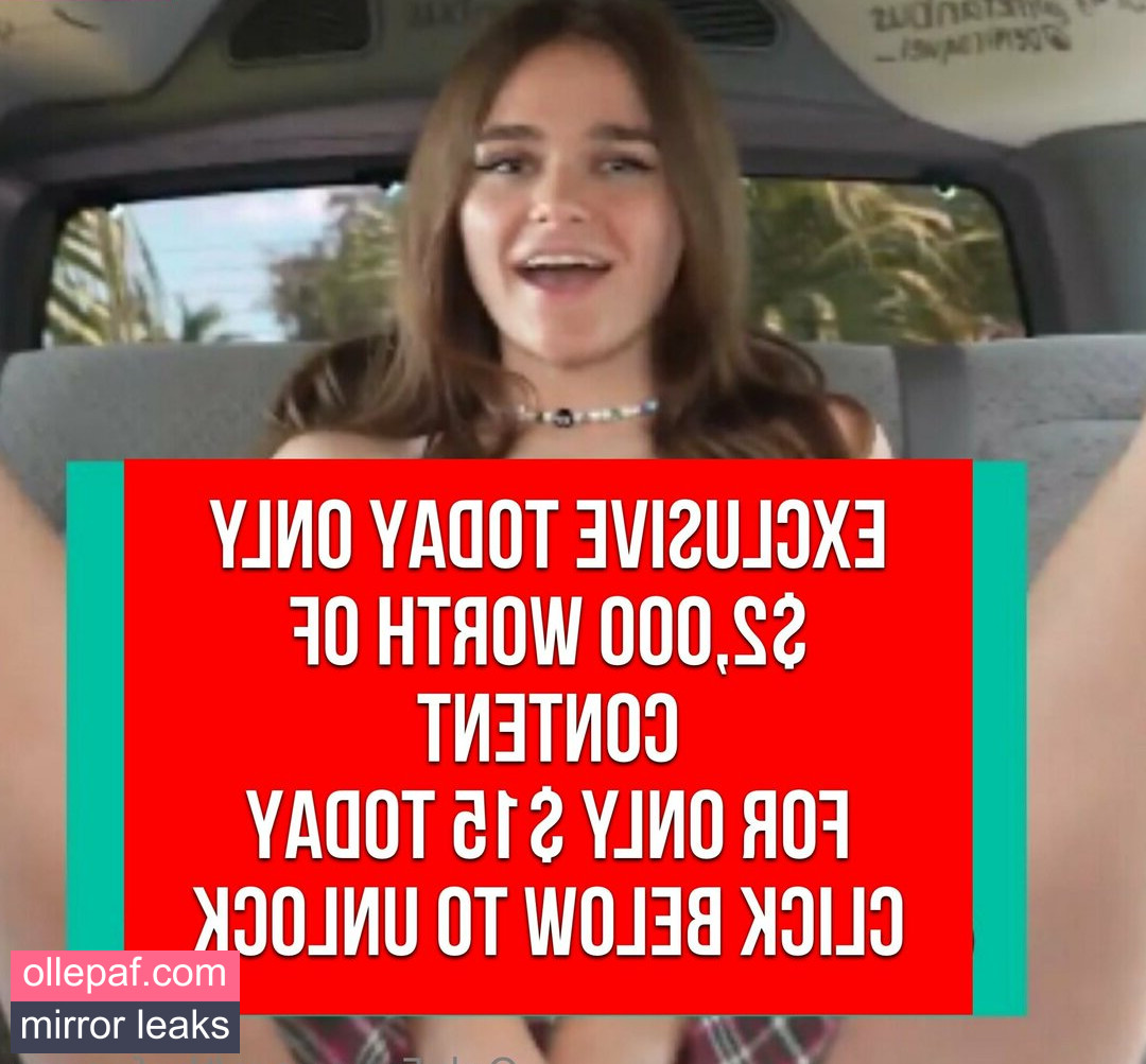 Latest Leaks thefanvan Nude #5 - Fapello