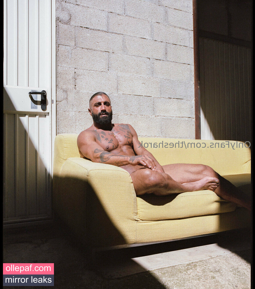 Latest Leaks thesharok Nude #26 - Fapello