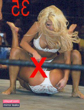 Latest Leaks Torrie Wilson Nude #2374 - Fapello