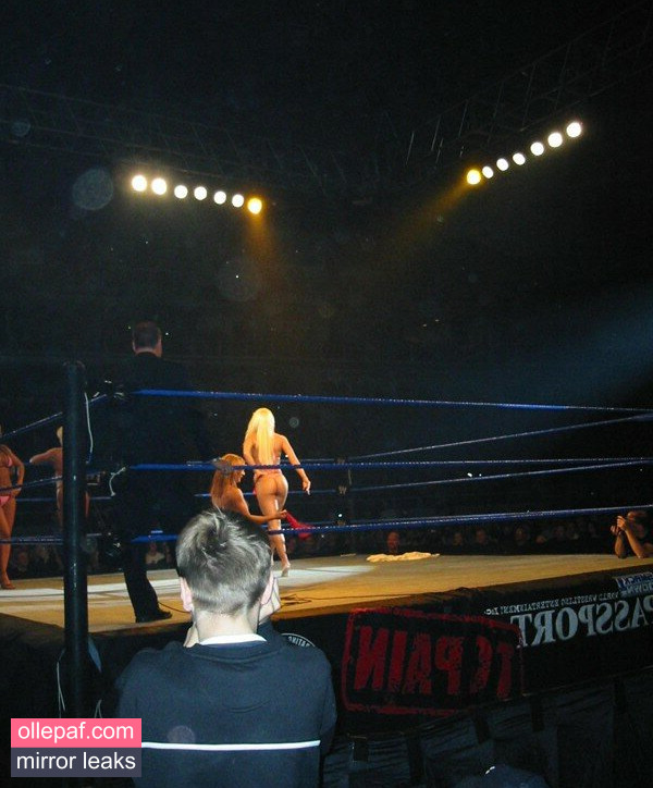 Latest Leaks Torrie Wilson Nude #466 - Fapello