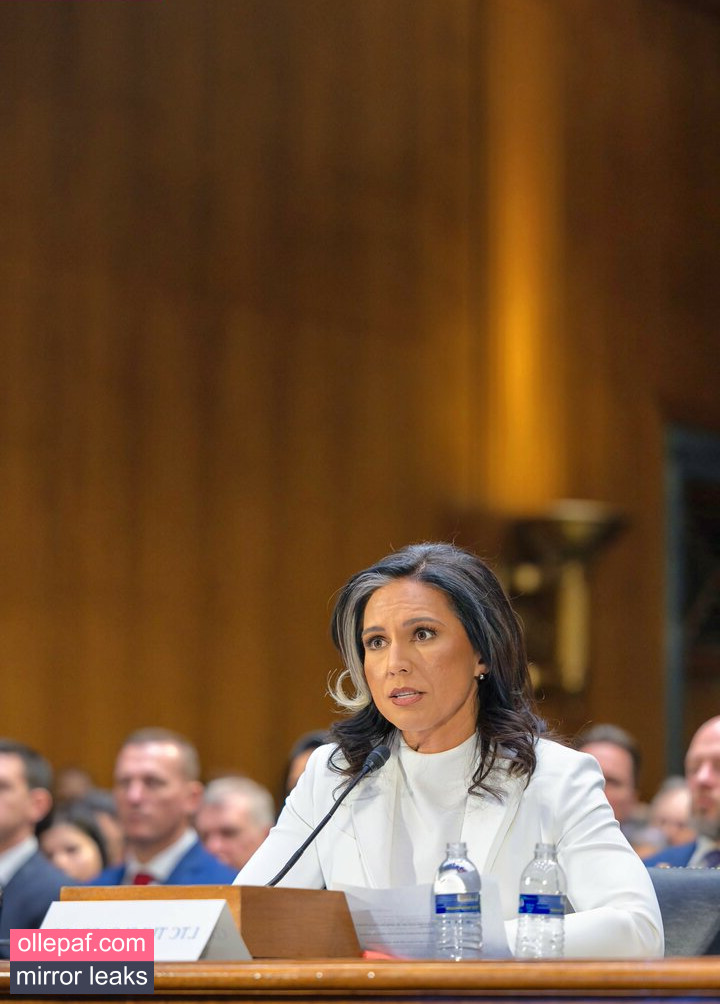 Latest Leaks Tulsi Gabbard Nude #16 - Fapello