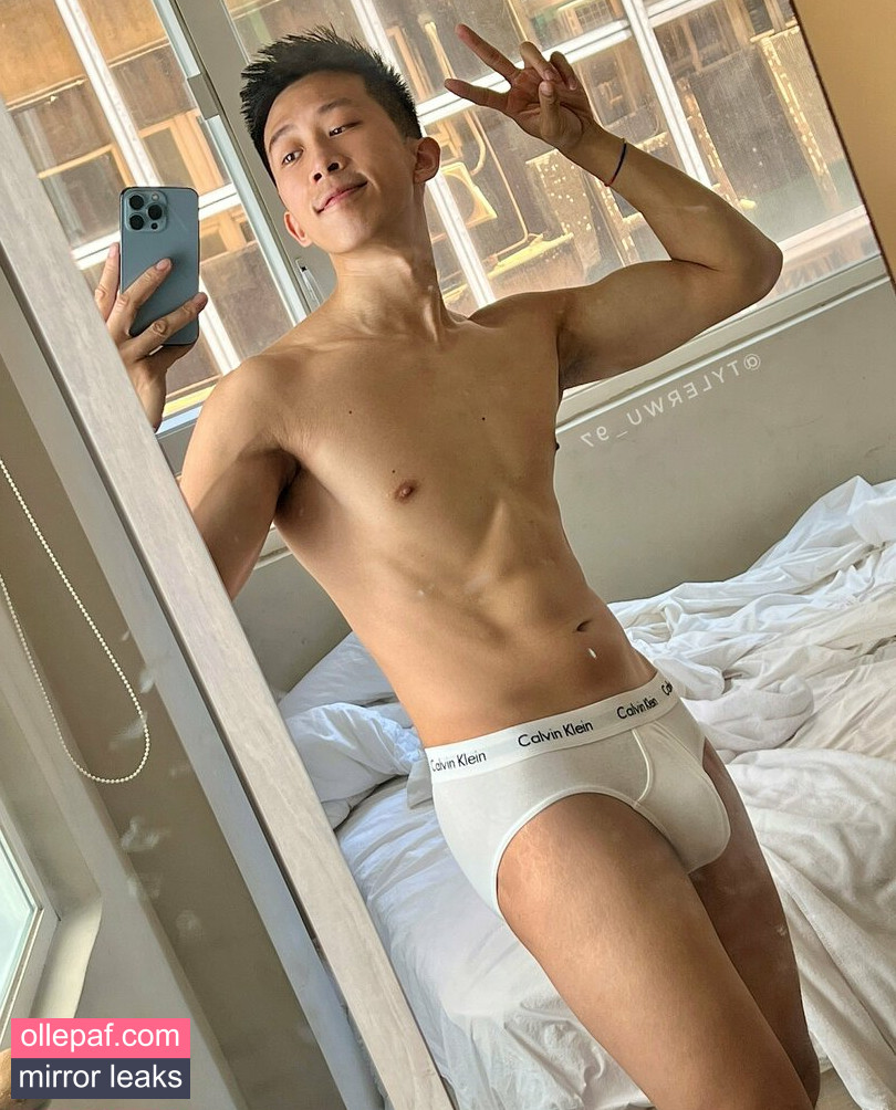 Latest Leaks tylerwu_97free Nude #24 - Fapello