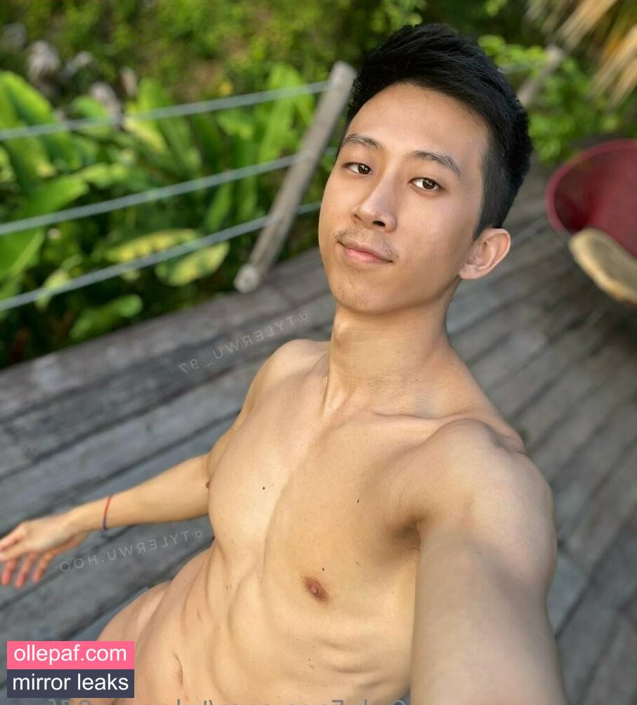 Latest Leaks tylerwu_97free Nude #42 - Fapello
