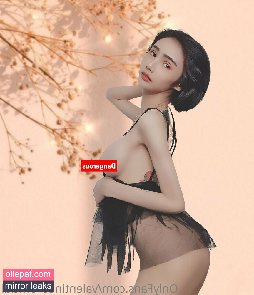Latest Leaks valentine8_official Nude #22 - Fapello