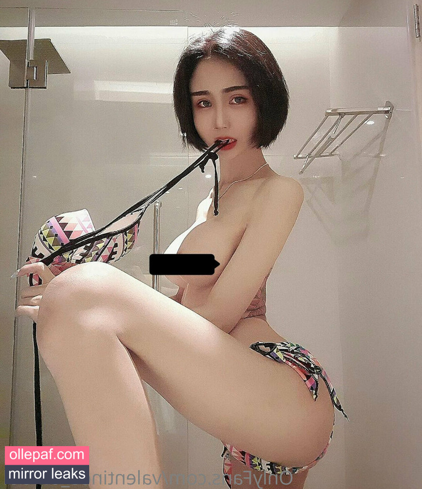Latest Leaks valentine8_official Nude #26 - Fapello