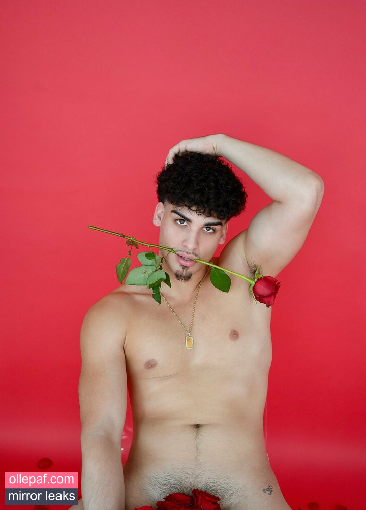Latest Leaks valentinopapii Nude #14 - Fapello