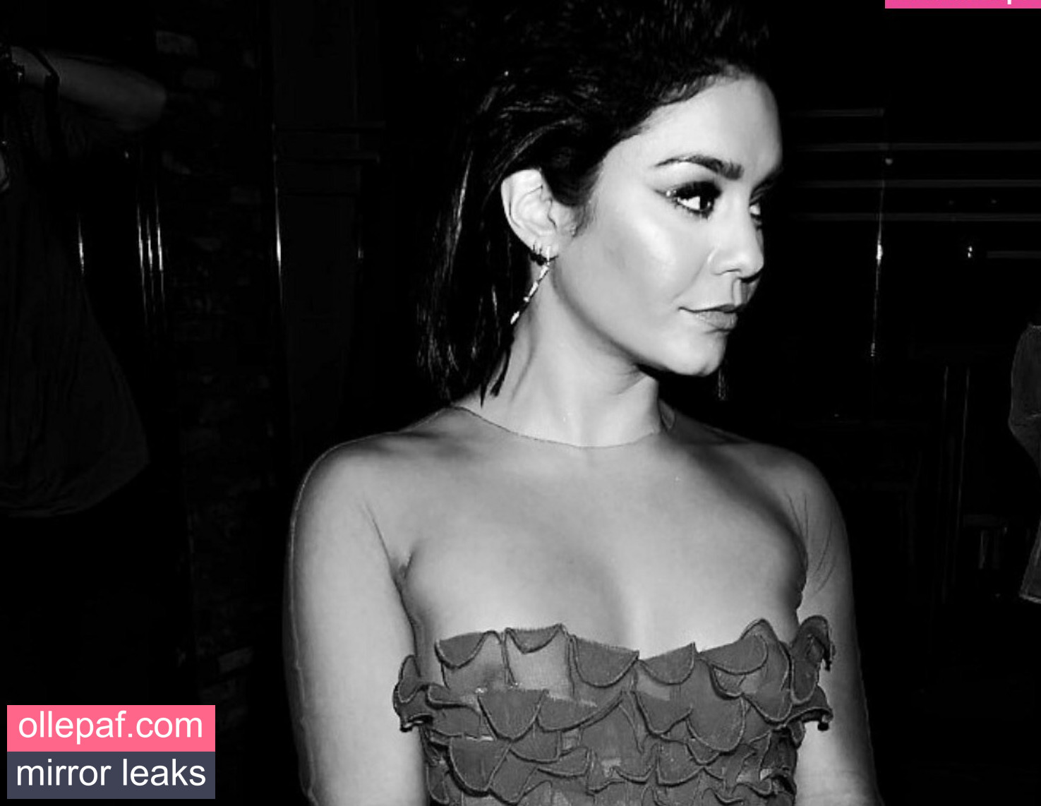 Latest Leaks Vanessa Hudgens Nude #752 - Fapello