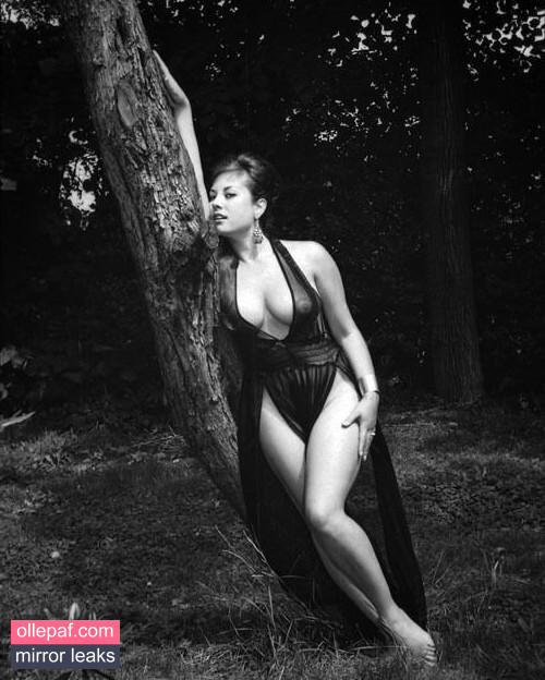 Latest Leaks Vintage English Pinups Nude #284 - Fapello