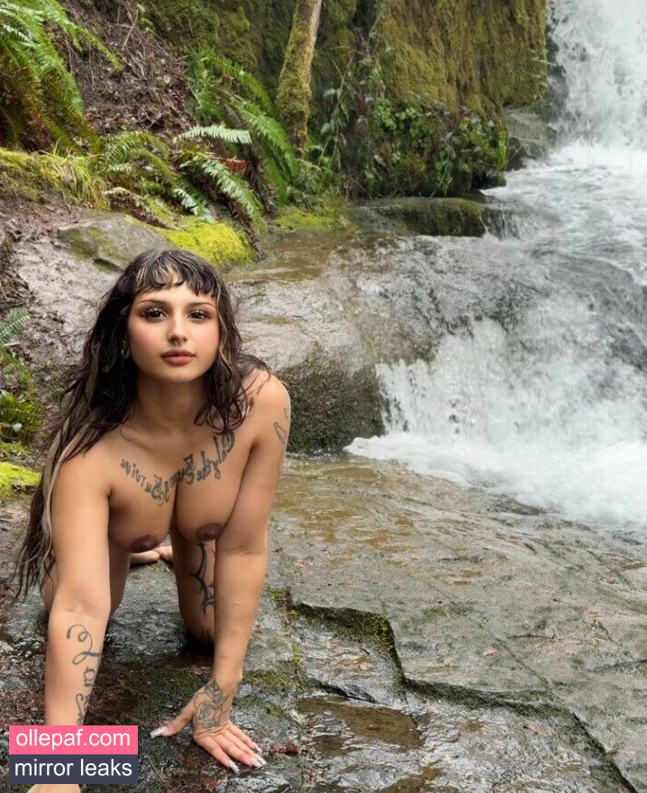 Latest Leaks wetnikki Nude #12 - Fapello
