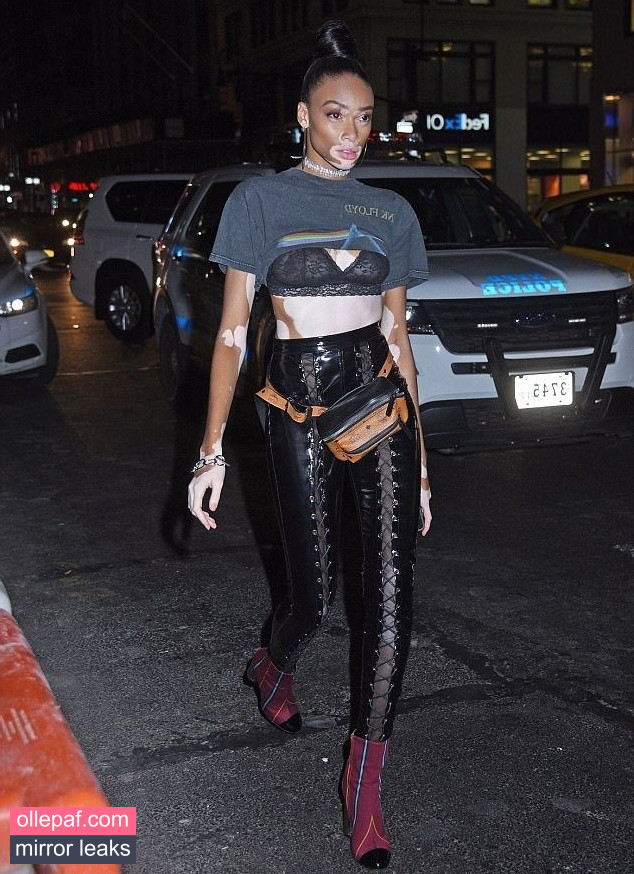 Latest Leaks Winnie Harlow Nude #178 - Fapello