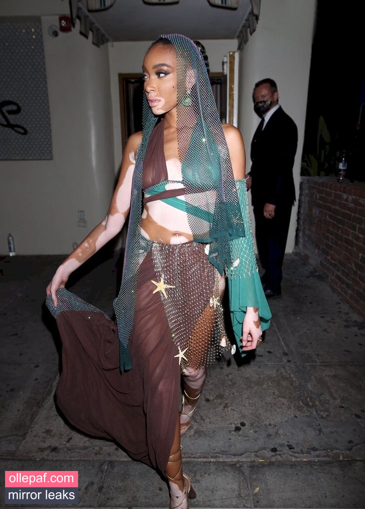 Latest Leaks Winnie Harlow Nude #188 - Fapello
