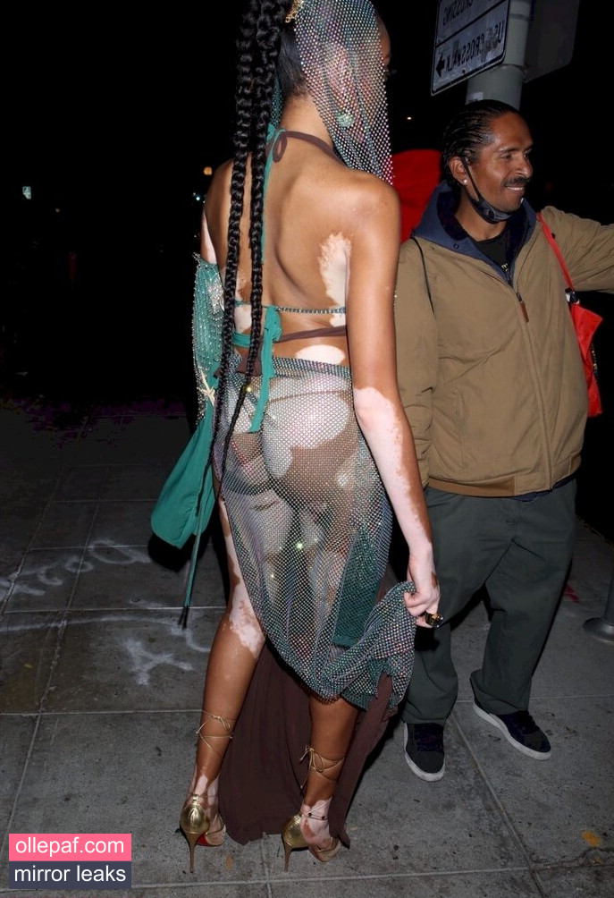 Latest Leaks Winnie Harlow Nude #195 - Fapello