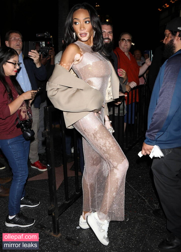 Latest Leaks Winnie Harlow Nude #212 - Fapello