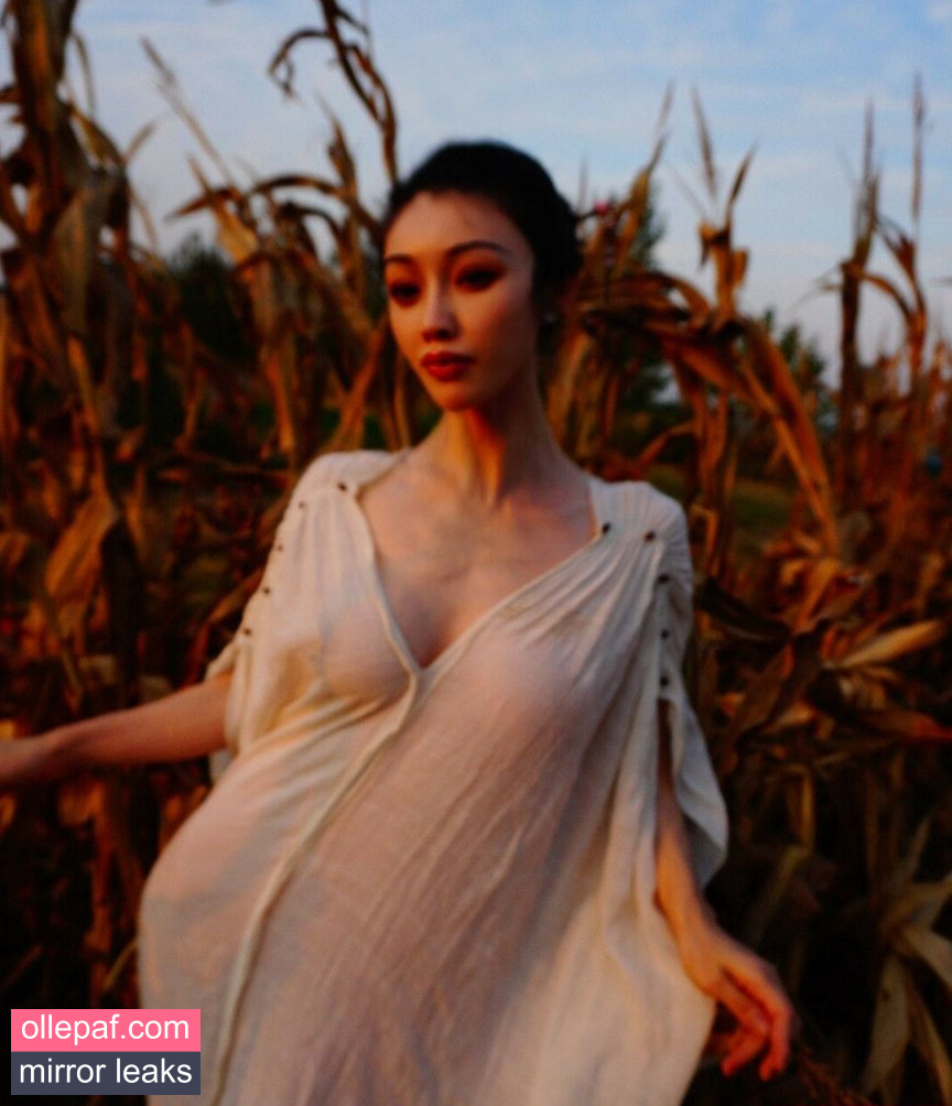 Latest Leaks Yuan Herong Nude #116 - Fapello